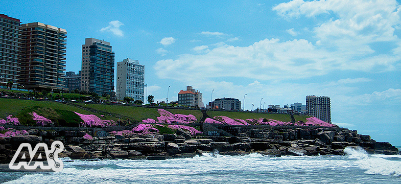 mar-del-plata